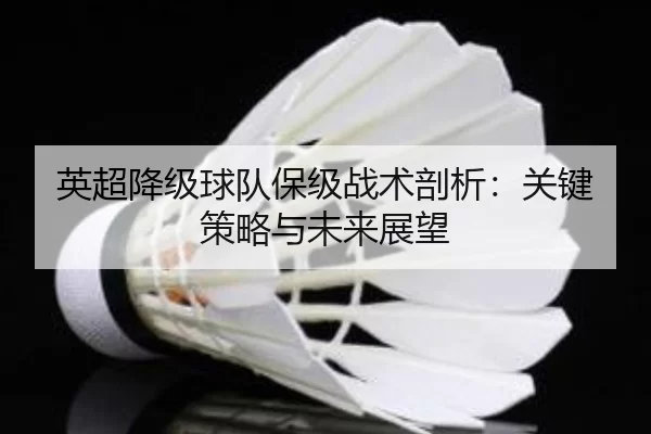 英超降级球队保级战术剖析：关键策略与未来展望